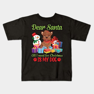 Snow Presents Dear Santa All I Need For Christmas Is My Dog Kids T-Shirt